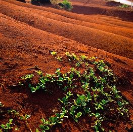 AR版《怪物猎人Now》先行注册玩家突破200万 奖励特典解锁