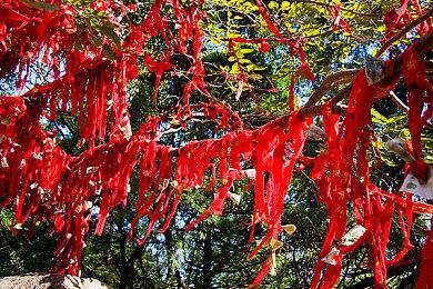 《巫师3》10年售出6000万套 逼近《上古卷轴5》